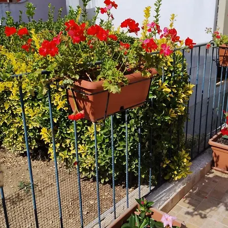 Rosa Apartament Bari